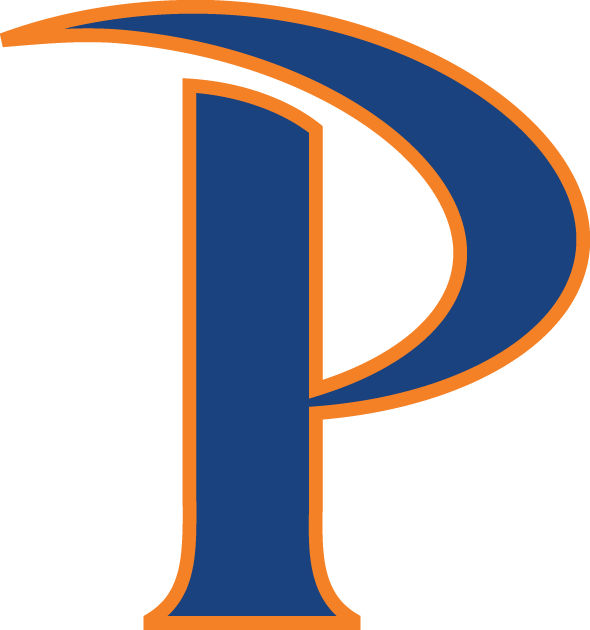 Pepperdine Waves 2011-Pres Primary Logo diy DTF decal sticker